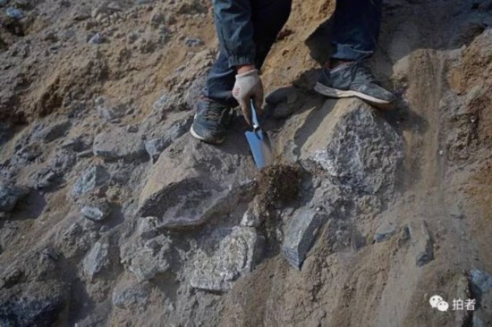 �b�͍u�����C���Bɽ��������˭h(hu��n)���^�l�� 